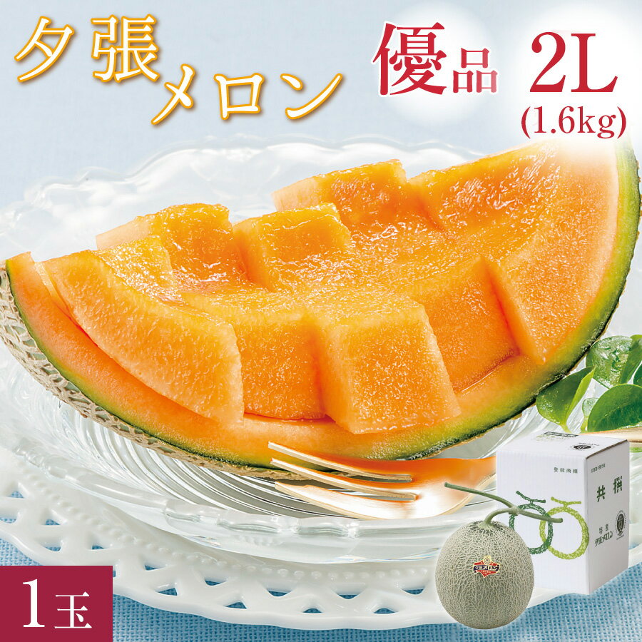 【300円OFFクーポン配布中!】夕張メロン 優品 大玉 2Lサイズ(約1.6kg) 1玉 共撰 夕張農協 合格品 共撰 優品 夕張メロン お中元 高級 早割 メロン 北海道 夕張 ゆうばり 夏 ギフト 中元 御中元 贈り物 【送料無料】