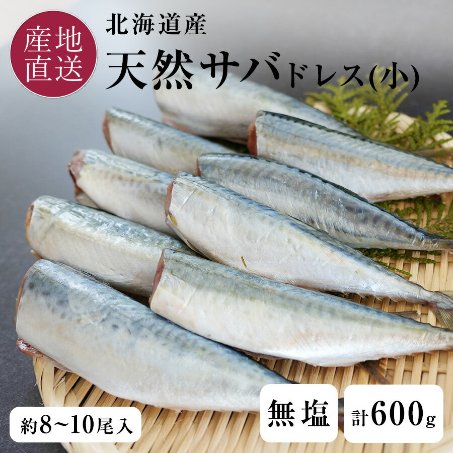 訳あり 北海道産 天然サバ 600g 小サバ 無塩 無添加 冷凍 ドレス パック 計600g 1尾18cm前後 約8〜10尾入 頭と内臓は除去済。 1パック60...