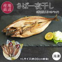 ノルウェー産 さば一夜干し 3枚セット ≪1枚入り×3パック≫ ノルウェー産さばの抜群の脂ノリとプリプリの食感がたまらない Lサイズ さば サバ 鯖 干物 一夜...