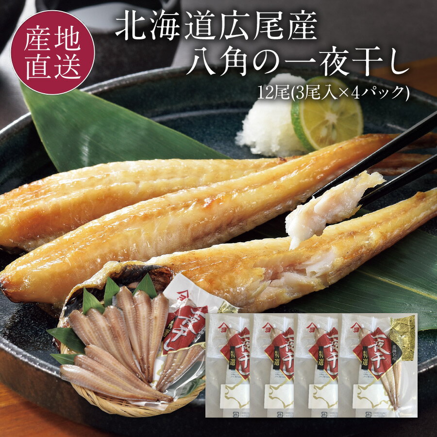 北海道産 八角 一夜干し 12尾(約800g) 幻の高級魚 八角(別名トクビレ)の干物 北海道 お取り寄せ 一夜干し 八角(ハッカク) 干物 海鮮 夏ギフト ギフト お祝い お礼 内祝い ご飯のお供 【送料無料】