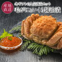 北海道産 毛がに いくら醤油漬け 海鮮人気セット 北海道 ボイル毛ガニ 400g イクラ醤油漬 100g 冬 ギフト 毛蟹 毛ガニ けがに ボイル済み カニ イ...