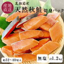 【先着で200円OFFクーポン配布中】北海道産 天然秋鮭 無塩 無添加 冷凍 切身 パック 600g×2 計1.2kg 1切30g前後 約32~40切入 一切れずつになっている使いやすいタイプ1パック600g入り 鮭 サケ シャケ 切り身 切り落とし 切落し 腹骨は除去済 送料無料