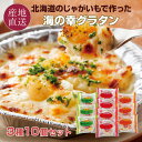 ハウス食品　北海道グラタン＜4皿分＞164g(パスタ84g・ソースミックス80g)×10個×2セット