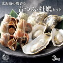 北海道産 殻付き牡蠣と青つぶ 合計3kgセット サロマ湖産 殻付かき 1.5kg 枝幸町産 青ツブ 1.5kg お取り寄せ グルメ 殻付き 牡蠣 牡蛎 殻付 カキ つぶ貝 ツブ貝 海鮮 おつまみ バーベキュー 加熱用 ギフト お歳暮 冷凍 ヤマヘウミヘ【送料無料】