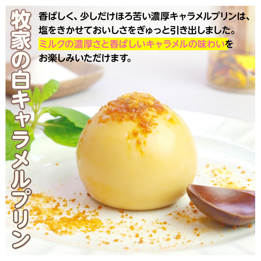 丸いプリンを包んだ風船を割って食べる 食べる前も後も楽しい人気スイーツ Bocca 牧家 プリン三昧 3種 各2個 白いプリン 塩キャラメルプリン クレームブリュレ 牧家の人気スイーツ 風船プリン お取り寄せ お中元 夏 ギフト スイーツ 御中元 出産内祝い 内祝い 牧歌 ボッカ