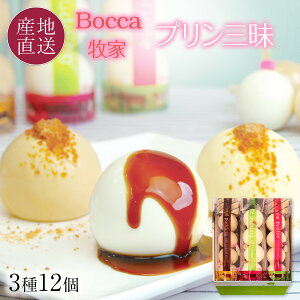 【クーポンで100円OFF★5/9 20時～】 Bocca 牧家 プリン三昧 (3種12個セット) 白いプリン,塩キャラメルプリン,クレームブリュレ 牧家の人気スイーツ 風船プリン 北海道 スイーツ 父の日 プレゼント お中元 ギフト 内祝い 贈り物 牧歌 ボッカ 【送料無料】