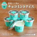 父の日 北見ハッカ チョコミントアイス 6個 チョコチップミントアイスクリーム自然素材にこだわった気品あるミントの香りと濃密なミルクとの味わい北海道 お取り寄せ...