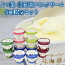 よつ葉乳業 北海道 アイスクリーム 5種12個 バラエティ 