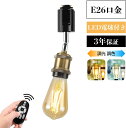 ダクトレールライト E26口金 消費電力6W LED電球付き エジソン電球 60W形相当 ライティングレール レトロ 調光調色 遠隔操作 昼白色 電球色 常夜灯 リモコン付き 3個セット （電池別売）