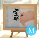 命名書 おしゃれ 命名書 額 命名書 赤ちゃん 出産祝い 名入れ 出産祝い 出産記念 1歳の誕生日 誕生日プレゼント 命名 命名紙 命名額 命名色紙 出生記念 ...