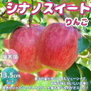 ITANSE りんごの苗木 シナノスイート 果樹苗 1〜2年生 接木苗13.5cmポット 1個 りんご苗 りんご 苗 リンゴ苗 リンゴの苗木 林檎の苗 ミニリン...