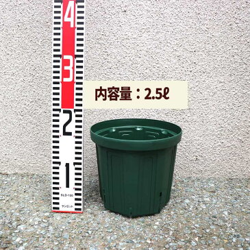 【送料無料】人気のスリット鉢と花と野菜の培養土のお買い得セット【スリット鉢6号10個&培養土12L2個】プランター 植木鉢 野菜 果樹 観葉植物 花 草花 植木 ハーブ 根はり鉢 家庭菜園 ガーデニング 培土 観葉植物 園芸 農家 農場 農園 サークリング