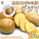 秋植えじゃがいもの種芋 品種：デジマ 10kg(充填時)【野菜の苗 ／1個売り】じゃがいも ジャガイモ じゃが芋 種芋 種いも