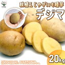 秋植えじゃがいもの種芋 品種：デジマ 20kg(充填時)【野菜の苗 ／1個売り】じゃがいも ジャガイモ じゃが芋 種芋 種いも