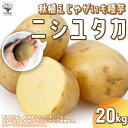 秋植えじゃがいもの種芋 品種：ニシユタカ 20kg(充填時)【野菜の苗 ／1個売り】じゃがいも ジャガイモ じゃが芋 種芋 種いも