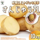 秋植えじゃがいもの種芋 品種：さんじゅう丸 10kg(充填時)【野菜の苗 ／1個売り】じゃがいも ジャガイモ じゃが芋 種芋 種いも PVP