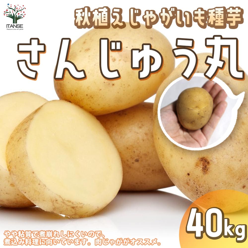 ̵۽㤬μ ʼ󤸤夦 40kg ( Ŷ ) ڤ 1 㤬 㥬 㤬 ...