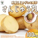 秋植えじゃがいもの種芋 品種：さんじゅう丸 100kg(充填時)【野菜の苗 ／1個売り】じゃがいも ジャガイモ じゃが芋 種芋 種いも PVP