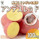 秋植えじゃがいもの種芋 品種：アンデスレッド 100kg(充填時)【野菜の苗 ／1個売り】じゃがいも ジャガイモ じゃが芋 種芋 種いも