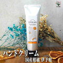 【P2倍★マラソン期間中】ハンドクリーム75g IYOKAN(伊予柑)【ハンドクリーム】スキンケア ハンドケア ミニサイズ コンパクト 携帯用