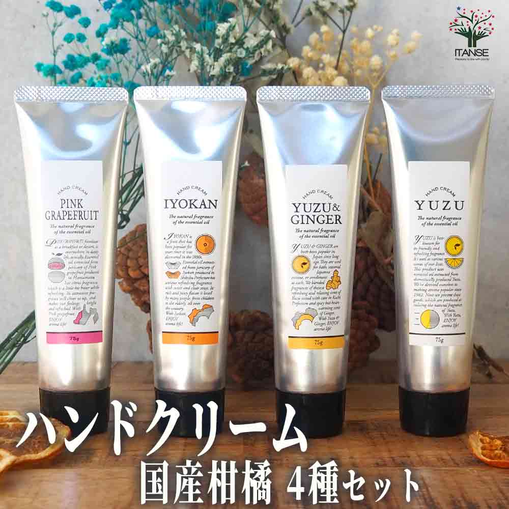 ̵ۥϥɥ꡼75g 񻺴4糧å ϥɥ꡼ 󥱥 ϥɥ ߥ˥ ѥ  ̵ ¨Ǽ