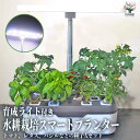 【送料無料】水耕栽培 スマートプランターライト付【春夏秋用野菜&ハーブ種子Aセット：トマト大王／カラフルレタスMIX／スイートバジル／青じそ】植物育成LEDライト付 野菜栽培キット 水耕栽培キット 水耕栽培セット 簡単栽培