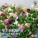 商品画像3