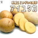 【送料無料】秋植えじゃがいもの種芋 品種：アイユタカ【 野菜種芋(重さは充填時のものです)】じゃがいも ジャガイモ じゃが芋 種芋 種いも たねいも PVP 馬鈴薯種芋 馬鈴薯 種イモ ばれいしょ 秋じゃがいも 秋じゃが芋