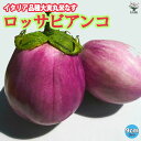 ITANSE ロッサビアンコ ( イタリア品種大実丸米なす ) 9cmポット自根苗 野菜苗 ナス苗 なす苗 ナスビ苗 なすび苗 茄子苗 ベランダ すずなりナス 送料無料 即納