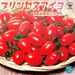 【送料無料・即出荷】高糖度ミニトマトの苗 プリンセスアイコ　高糖度・育てやすい【野菜の苗 10.5cmポット 自根苗／お買い得2個セット】高糖度 甘い スイーツ トマト苗 とまと苗 ミニトマト苗 トマトの苗 プチトマト ガーデニング 家庭菜園 ベランダ菜園