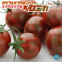 【送料無料】極甘カラフルゼブラミニトマト メイクスイーツ ベロニカ ミニトマトの苗【野菜の苗 10.5cmポット 自根苗】トマト苗 とまと苗 ミニトマト苗 プチトマト ガーデニング 家庭菜園 農作業 有機栽培 ベランダ菜園