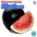 商品画像3