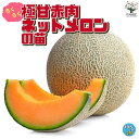 ITANSE メロンの苗 らくらく極甘!赤肉ネットメロン 野菜の苗 10.5cmポット 自根苗 野菜苗 くだもの 果物 果樹苗 ガーデニング 家庭菜園 ベランダ 収穫 プランター ベランダ菜園 家庭菜園初心者 ベランダガーデニン 送料無料 即納