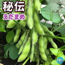 【P2倍★マラソン期間中】秘伝 枝豆の苗【野菜の苗 10.5cmポット】枝豆苗 枝豆の苗 えだまめの苗 えだ豆の苗 大豆 豆類 野菜苗 簡単栽培 家庭菜園