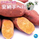 【P2倍★マラソン期間中】さつまいもの苗安納芋べに(アンノウイベニ)【野菜の苗 つる取り用9cmポット】さつまいも苗 サツマイモ苗 薩摩芋苗 薩摩芋の苗 野菜苗...