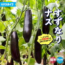 ITANSE ナスの苗 すずなりトロトロなす ( 長ナスタイプ ) 接木苗 野菜の苗 9cmポット ナスの苗 ナス苗 なす苗 茄子苗 茄子の苗 野菜苗 多収穫 ...
