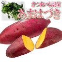 【送料無料】さつまいもの切苗 品種：あまはづき【野菜の苗 約250本(25本×10束)】さつまいもの切苗 切り苗 野菜苗 ガーデニング 家庭菜園 サツマイモの苗 さつま芋苗 PVP