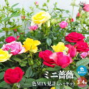 【送料無料】ミニ薔薇 色MIX見計い【花苗 3号～4号】バラ