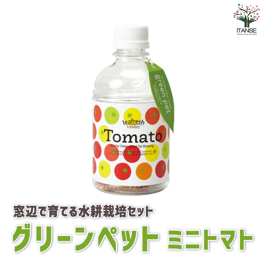 y}\|CgUPz~jg}gyӂňĂO[ybgxWz ؕc c  ȒP ͔| x_ T_ Mtg mini tomato