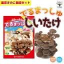 【P2倍★マラソン期間中】菌床きのこ栽培セット