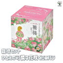 【P2倍★マラソン期間中】栽培セット ひとえの可憐な花咲くミニバラ【花苗 】簡単キット 栽培キット お手軽ガーデニング
