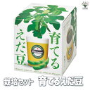 【P2倍★マラソン期間中】栽培セット 育てるえだ豆【野菜の苗 】簡単キット 栽培キット お手軽ガーデニング