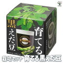 【送料無料】栽培セット 育てる黒えだ豆 野菜の苗 簡単キット 栽培キット お手軽ガーデニング 送料無料 即納