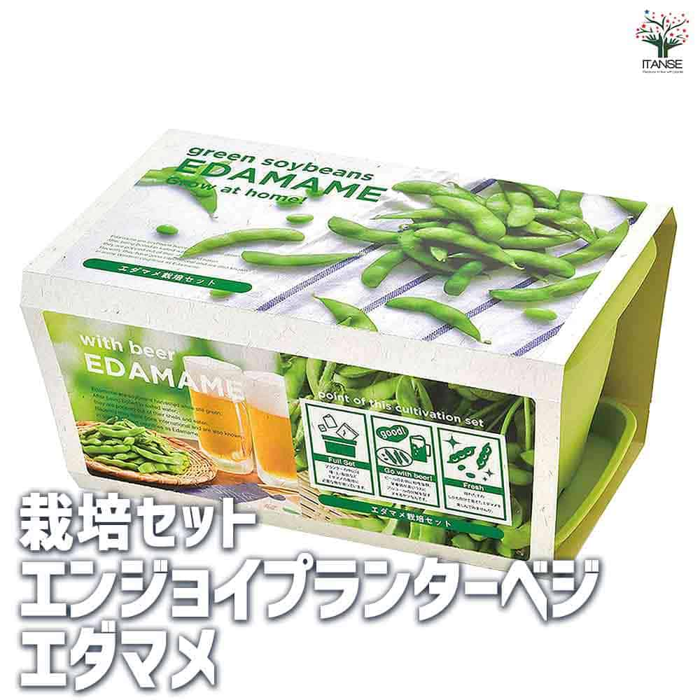 【送料無料】栽培セット エンジョイプランターベジ エダマメ【野菜の苗 】簡単キット 栽培キット お手軽ガーデニング