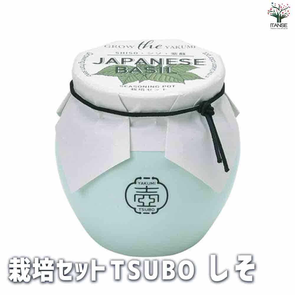 【送料無料】栽培セット TSUBO しそ【野菜の苗 】簡単キット 栽培キット お手軽ガーデニング