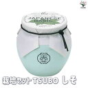 【P2倍★マラソン期間中】栽培セット TSUBO しそ【野菜の苗 】簡単キット 栽培キット お手軽ガーデニング