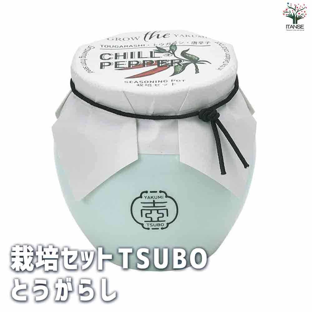 【マラソン中★ポイントUP】栽培セット TSUBO 唐辛子【野菜の苗 】簡単キット 栽培キット お手軽ガーデニング