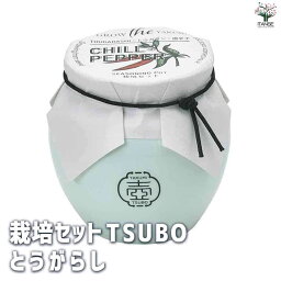 【マラソン中★ポイントUP】栽培セット TSUBO 唐辛子【野菜の苗 】簡単キット 栽培キット お手軽ガーデニング