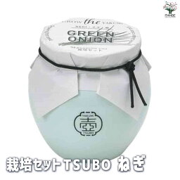 【マラソン中★ポイントUP】栽培セット TSUBO ねぎ【野菜の苗 】簡単キット 栽培キット お手軽ガーデニング