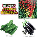 【送料無料・セット14/15】人気の